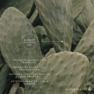 Ingredient Highlight - Barbary Fig Seed Oil